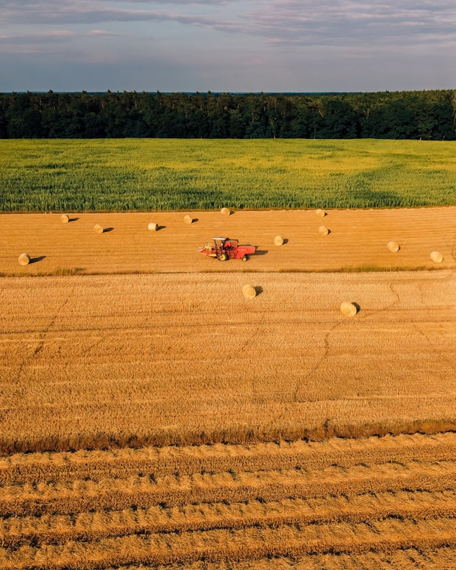 janusz-walczak-qbTJsVJTVC4-unsplash (1)